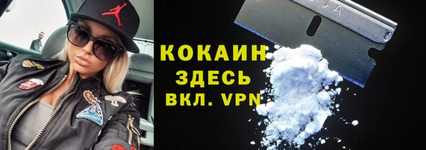хмурый Алексин