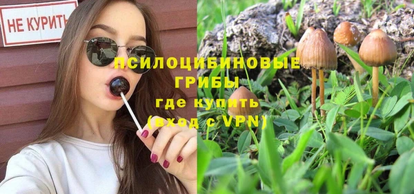 хмурый Алексин