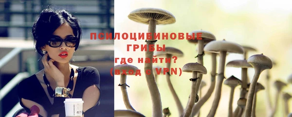 хмурый Алексин
