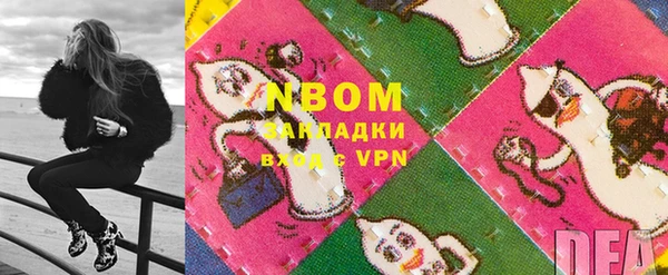 хмурый Алексин