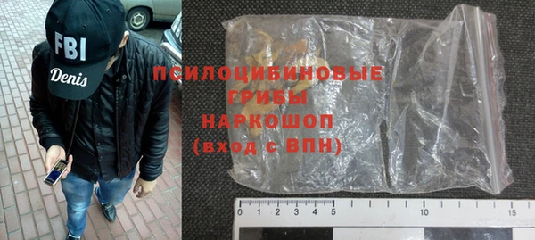 хмурый Алексин