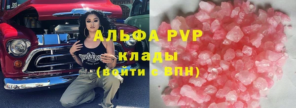 стафф Алзамай