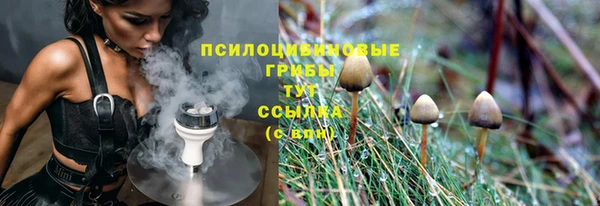 ALPHA PVP Гусиноозёрск