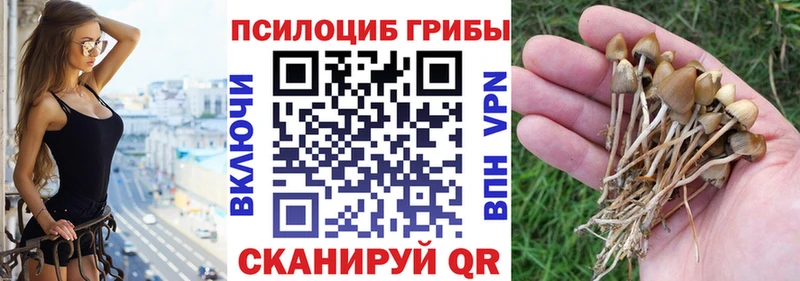 Псилоцибиновые грибы ЛСД  закладки  Новочеркасск 