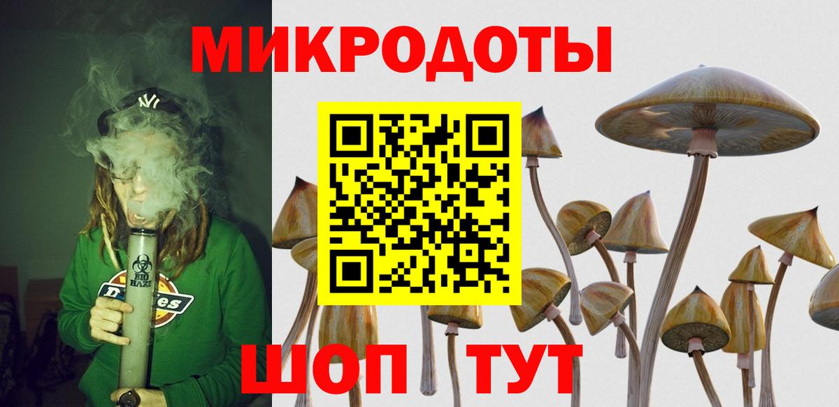 Новочеркасск  Псилоцибиновые грибы мицелий  Вход с VPN 